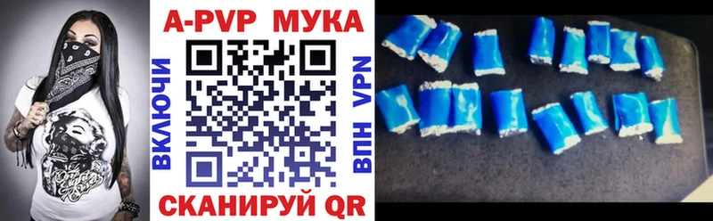 Альфа ПВП СК Кингисепп