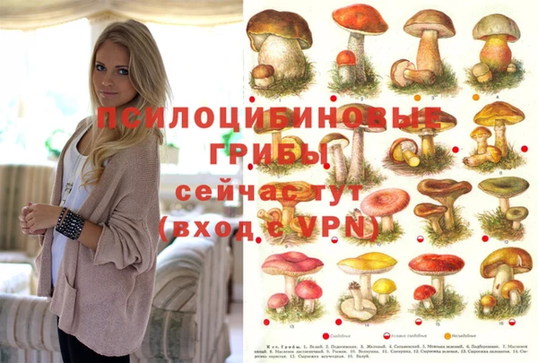 альфа пвп Абдулино