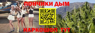 индика Комсомольск-на-Амуре