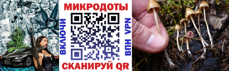 ссылка на мегу ONION  Кингисепп  Галлюциногенные грибы Cubensis 