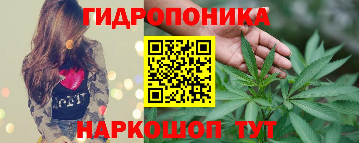 Конопля AK-47  Конопля Amnesia  Конопля сатива  Кингисепп  Конопля VHQ  Вход с VPN 